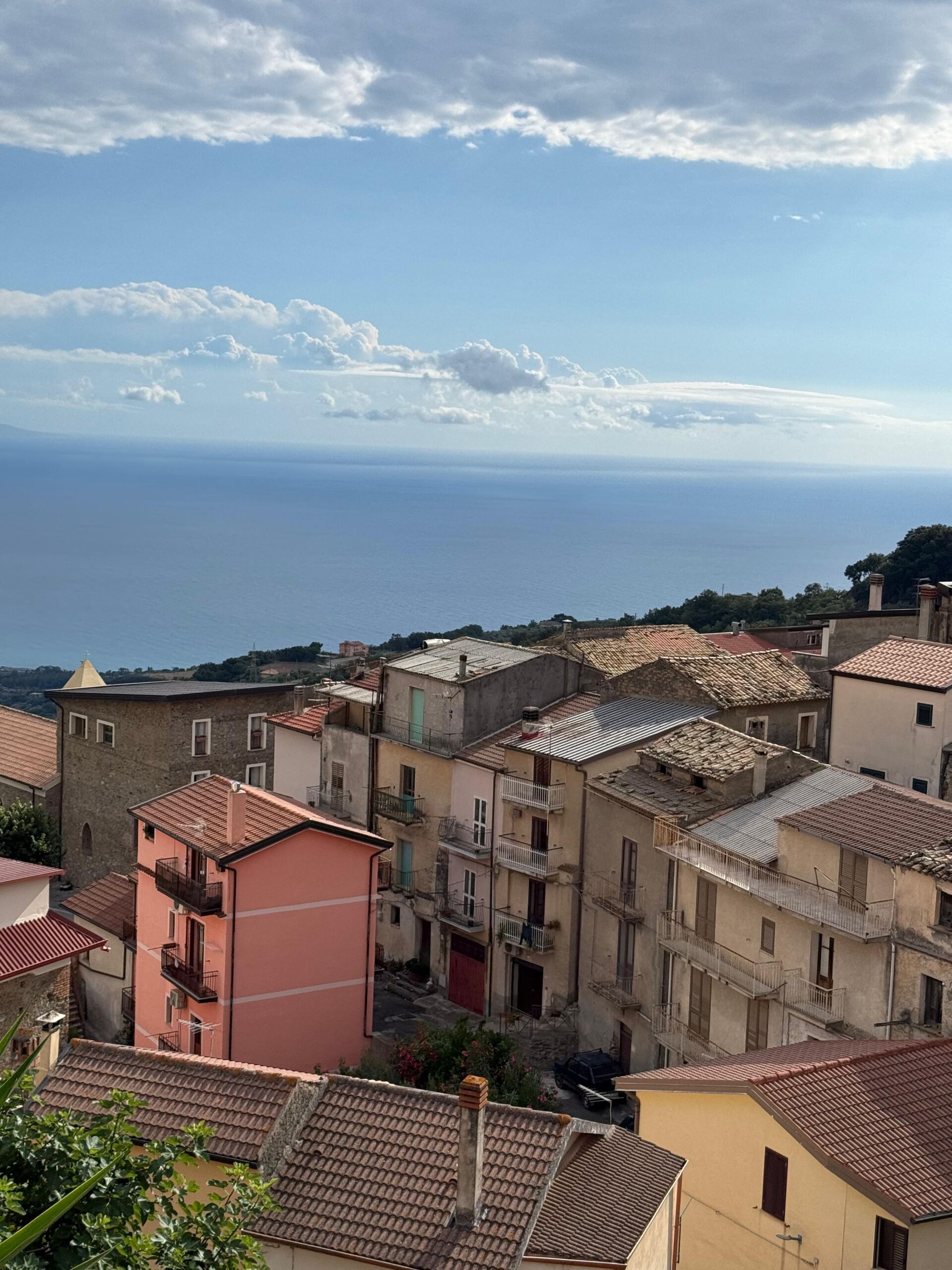 piękny widok na Falerna paese z mieszkania na sprzedaż