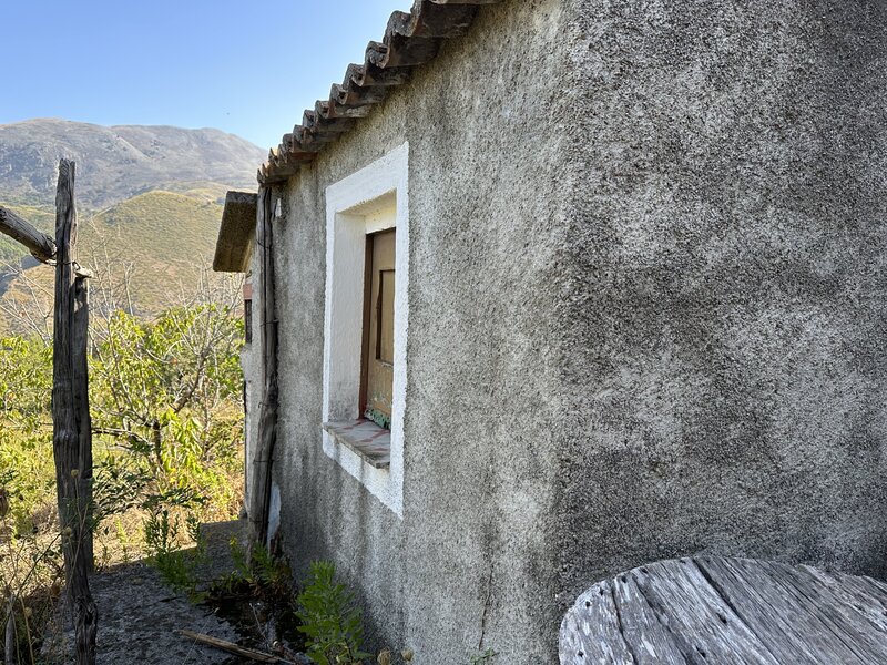Featured image 4