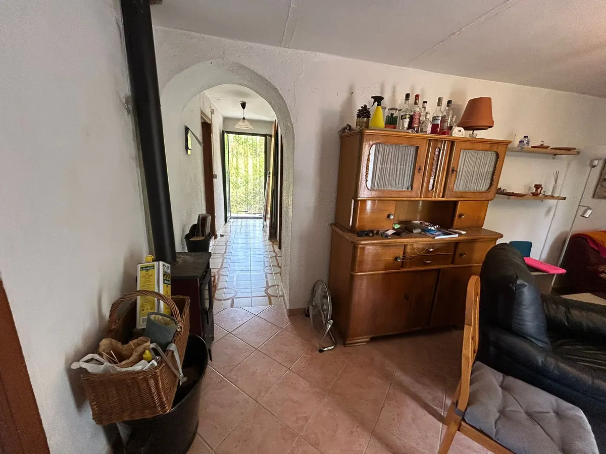 WhatsApp Image 2025-09-11 at 11.25.15 (3) kopia