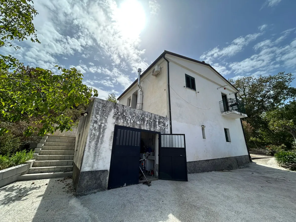 WhatsApp Image 2025-09-11 at 11.25.17 (2) kopia