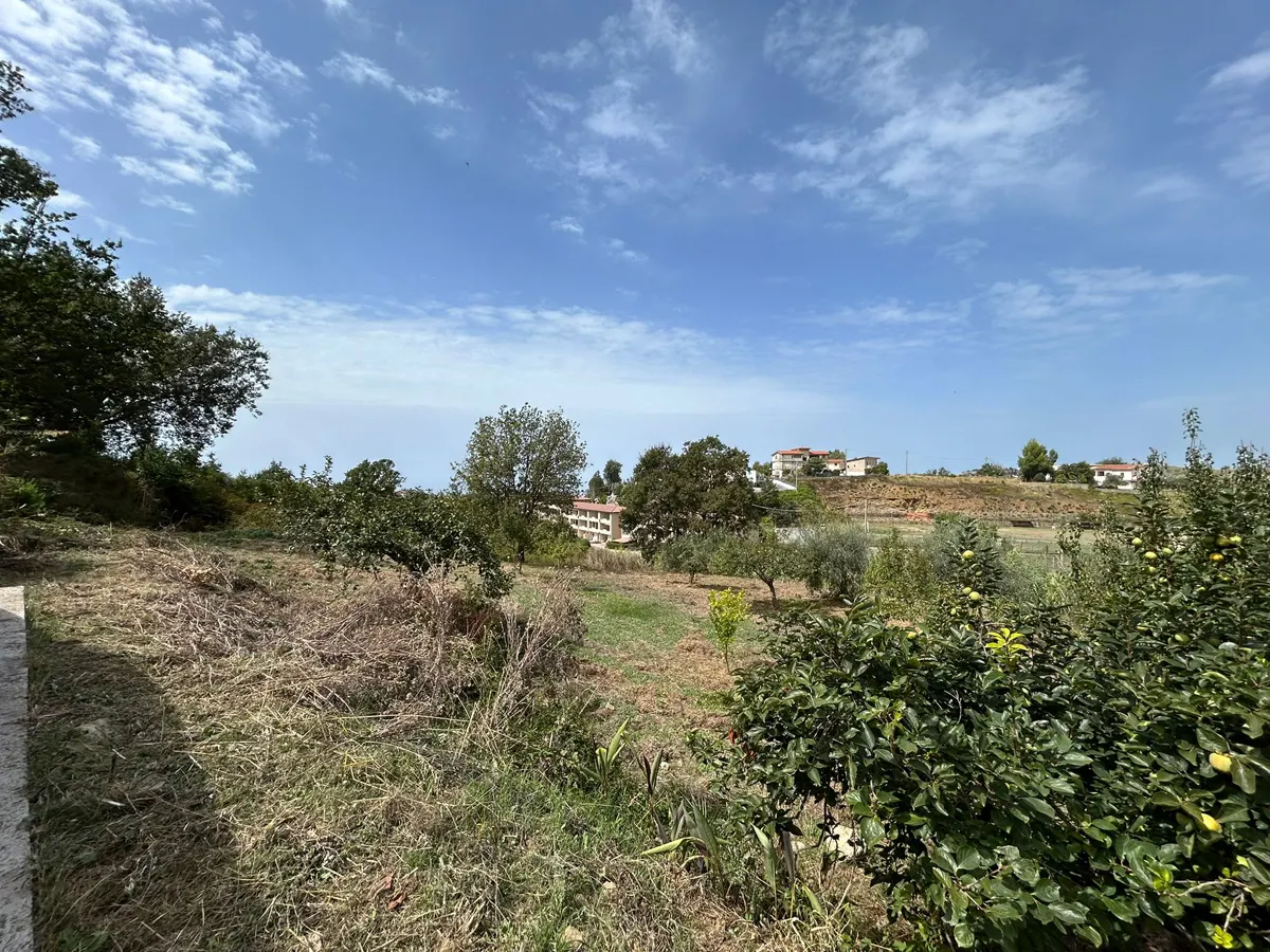 WhatsApp Image 2025-09-11 at 11.25.17 (3) kopia