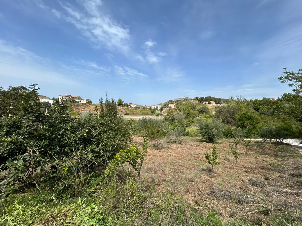 WhatsApp Image 2025-09-11 at 11.25.17 (4) kopia