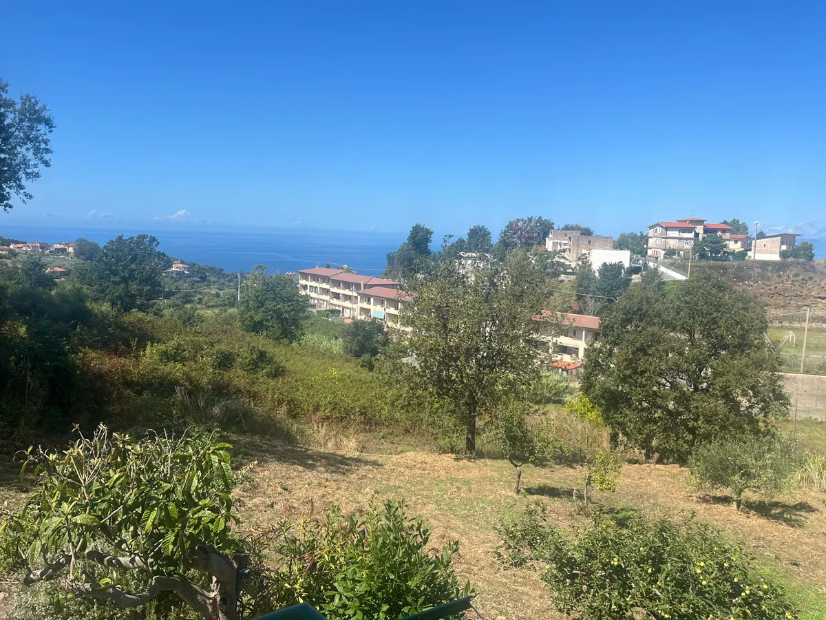 WhatsApp Image 2025-09-11 at 11.56.49 kopia