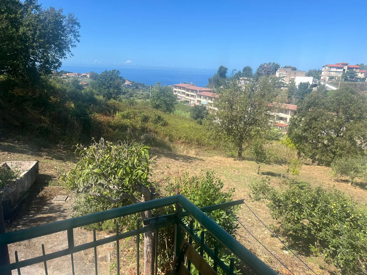 WhatsApp Image 2025-09-11 at 11.56.50 kopia