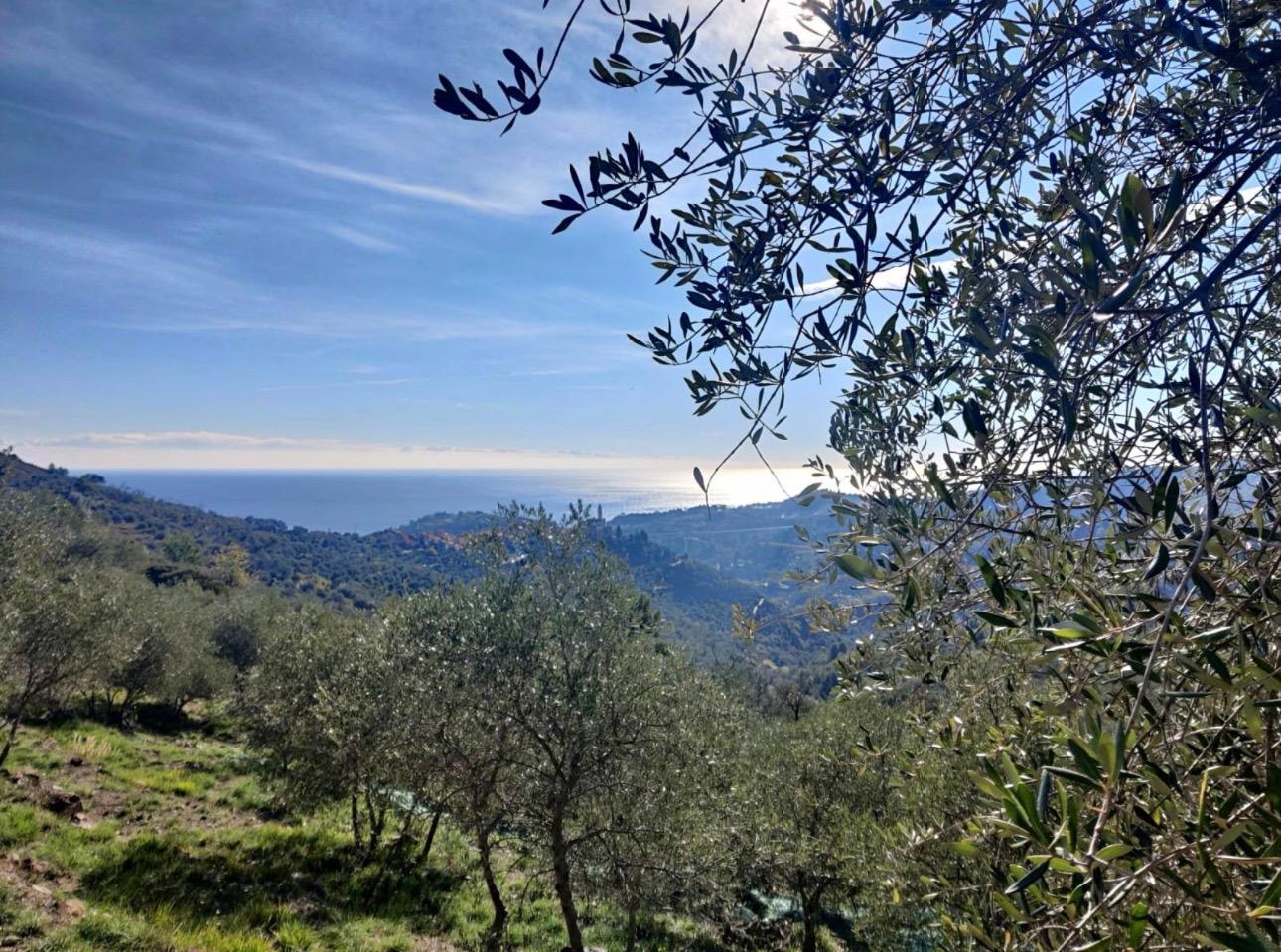 działka na sprzedaż w miasteczku Civezza Liguria