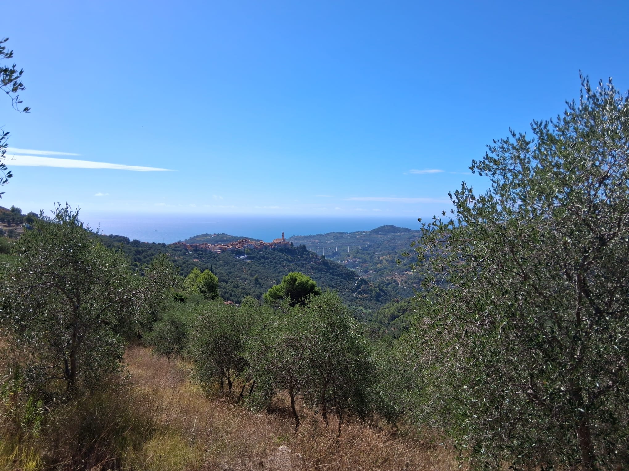 działka-na-sprzedaż-w-miejscowości-Civezza-we-Włoszech działka na sprzedaż w miejscowości Civezza we Włoszech