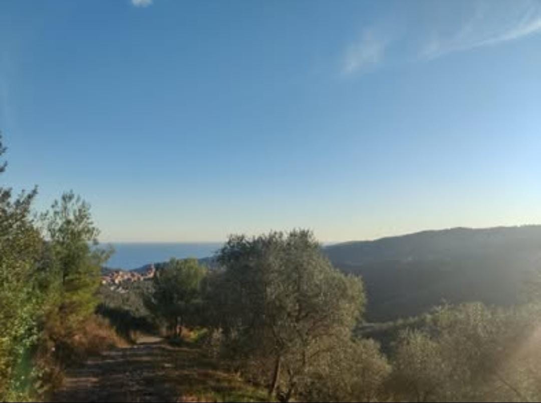 działka-na-sprzedaż-w-mieście-Civezza-Prowincja-Imperia działka na sprzedaż w mieście Civezza Prowincja Imperia