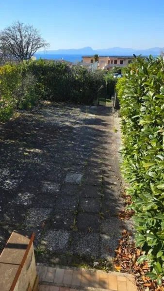 Projekt bez nazwy (1)