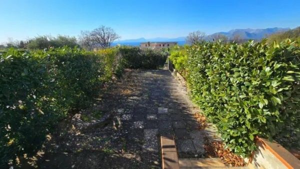 Projekt bez nazwy (14)