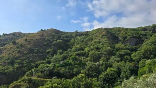 Projekt bez nazwy (15)