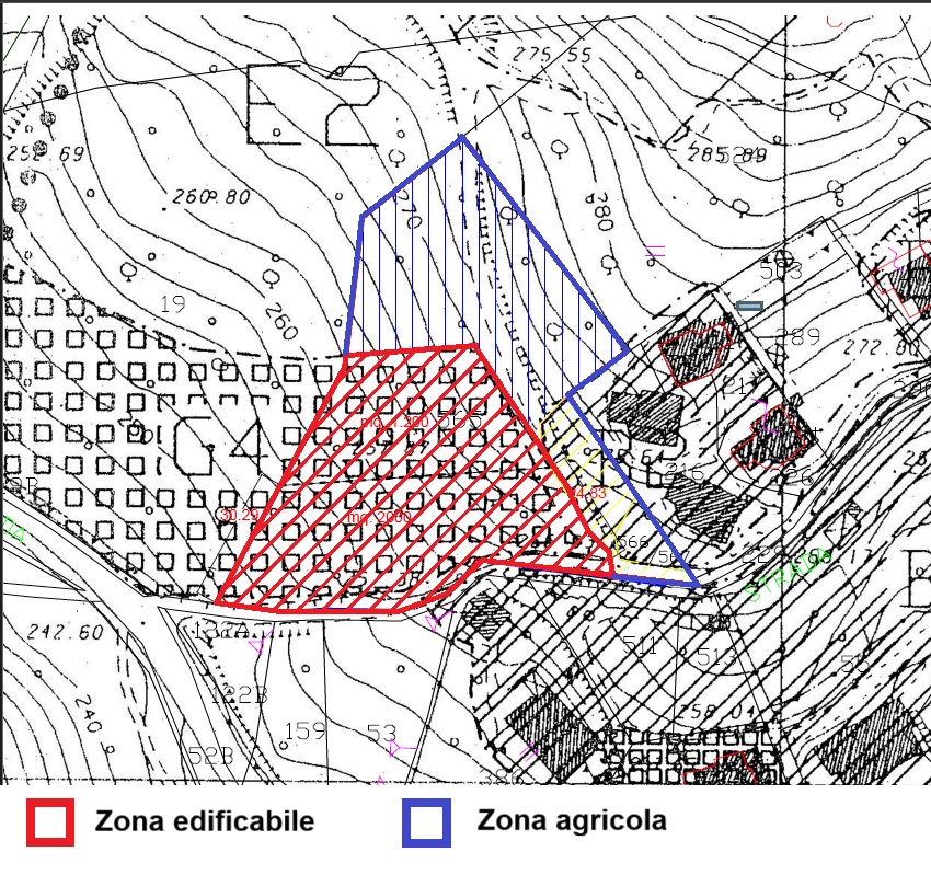 duży gaj oliwny na sprzedaż w miasteczku Centola z widokiem na Capo Palinuro