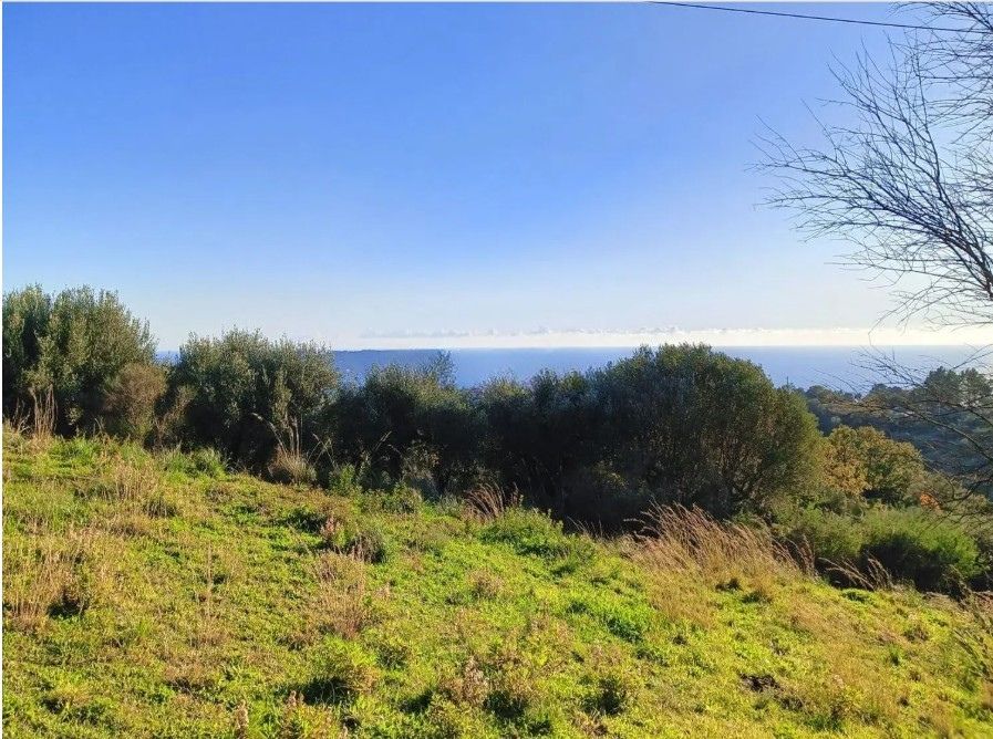 rozległy teren na sprzedaż z widokiem na Capo Palinuro w Centola