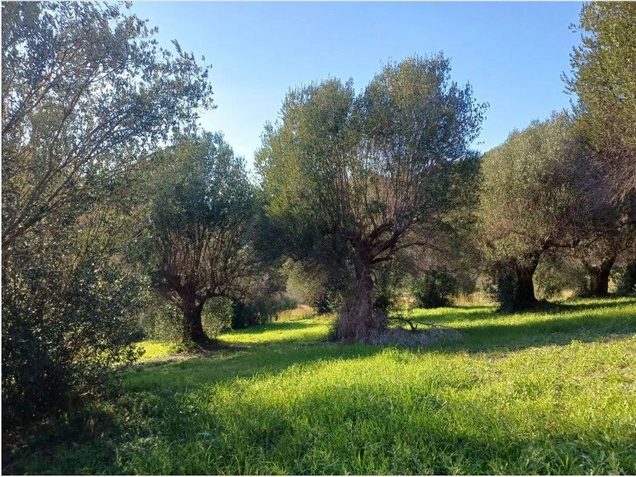 duża działka budowlana na sprzedaż w miejscowości Centola w Kampanii