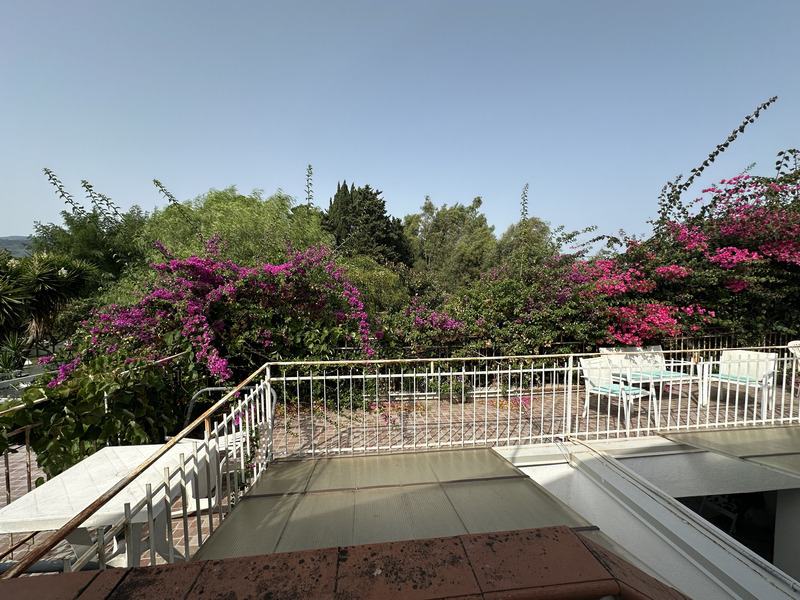 Featured image 4