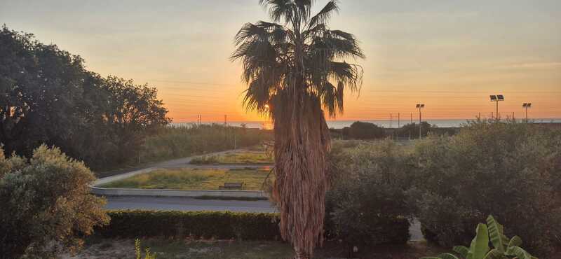 Featured image 2